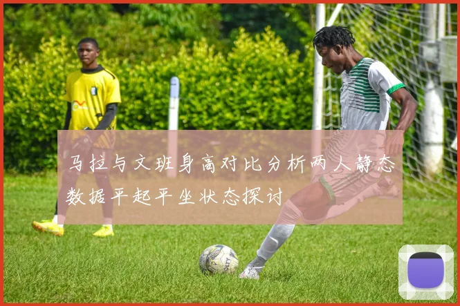 马拉与文班身高对比分析两人静态数据平起平坐状态探讨