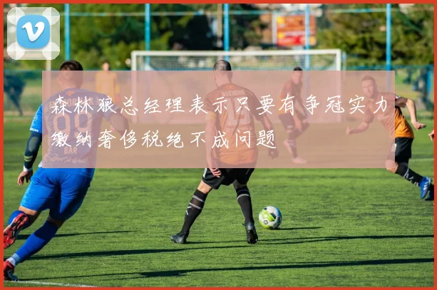 森林狼总经理表示只要有争冠实力缴纳奢侈税绝不成问题
