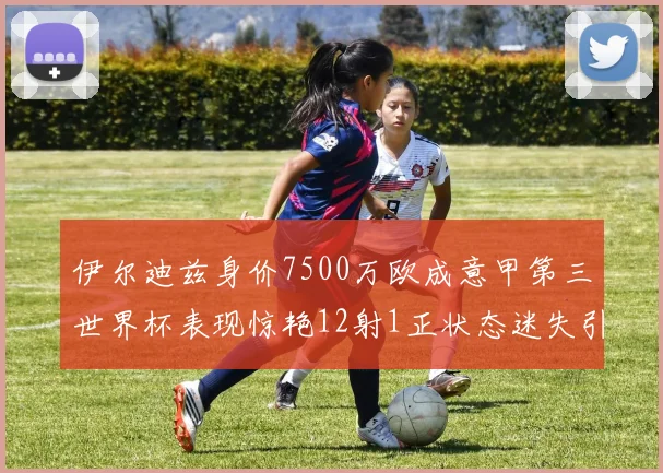 伊尔迪兹身价7500万欧成意甲第三世界杯表现惊艳12射1正状态迷失引发关注
